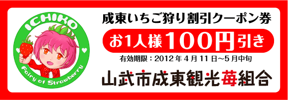 イチゴ狩りクーポン券